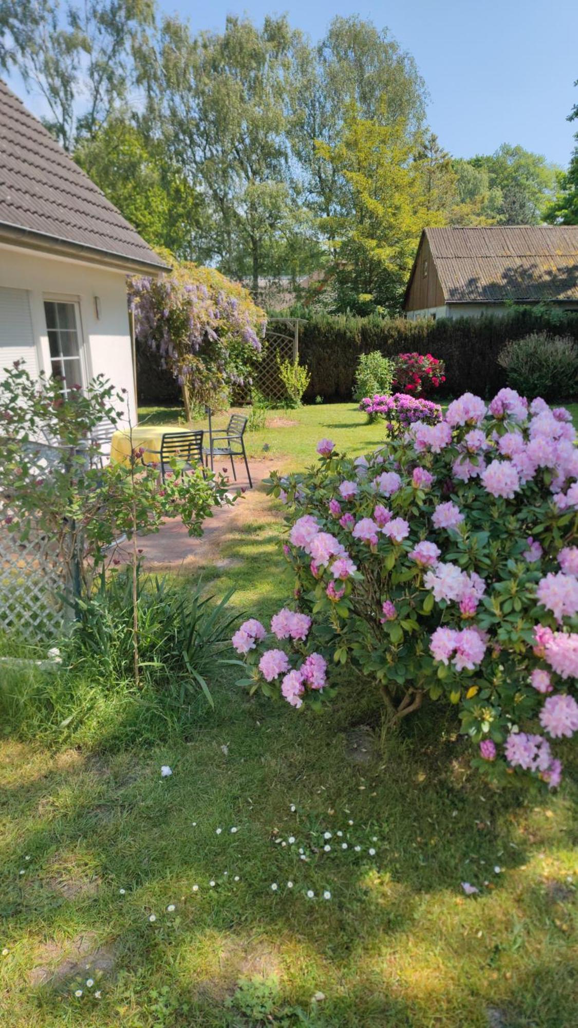 Haus Erika Lägenhet Prerow Exteriör bild